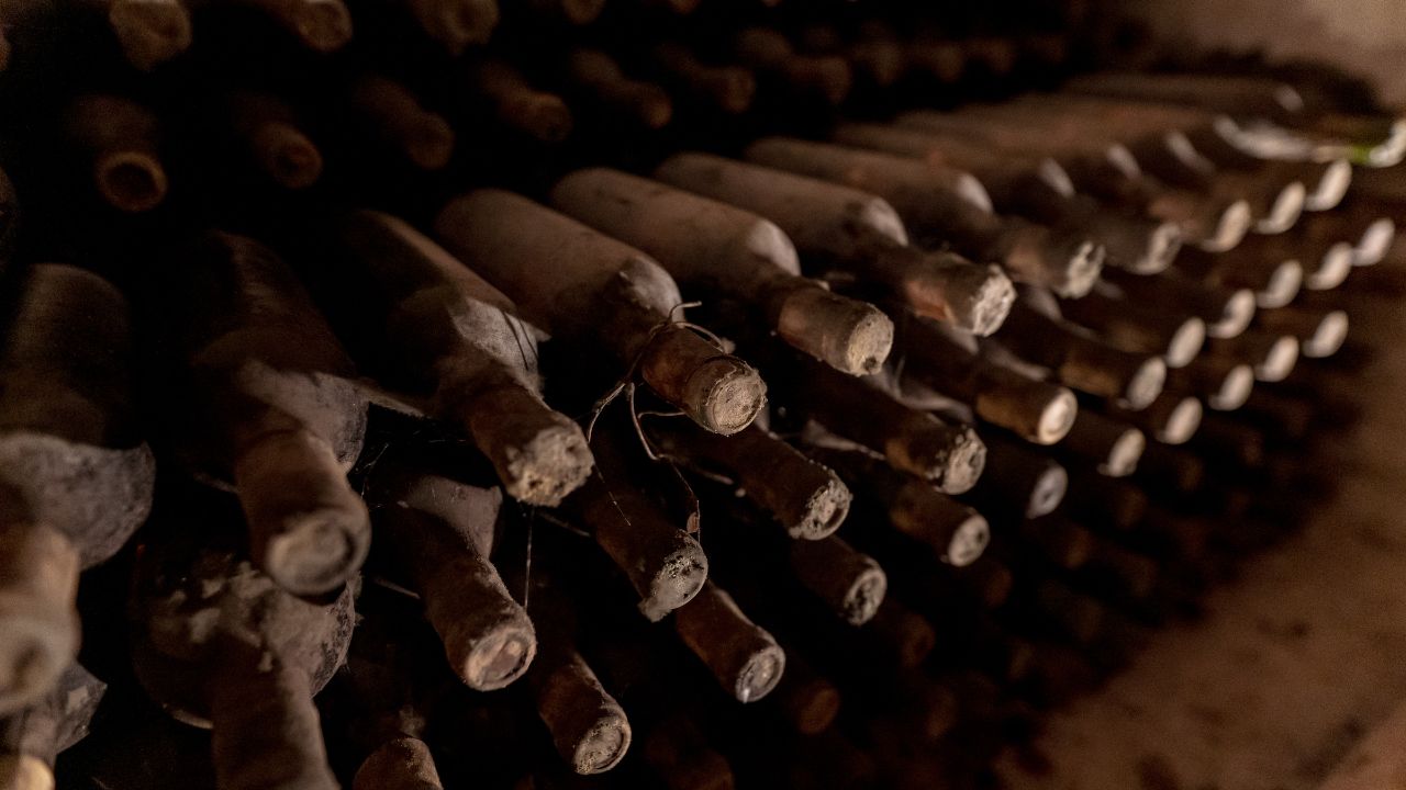 Koliko dugo se može čuvati biodinamičko vino?