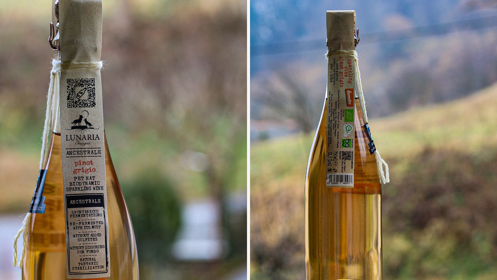 Pet-Nat vino: što je i kako se proizvodi?