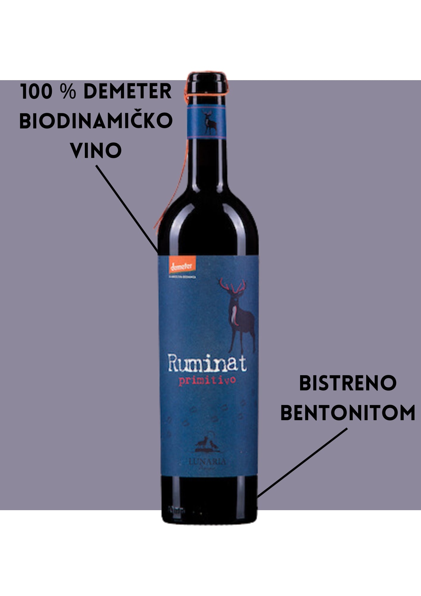 Ruminat Primitivo