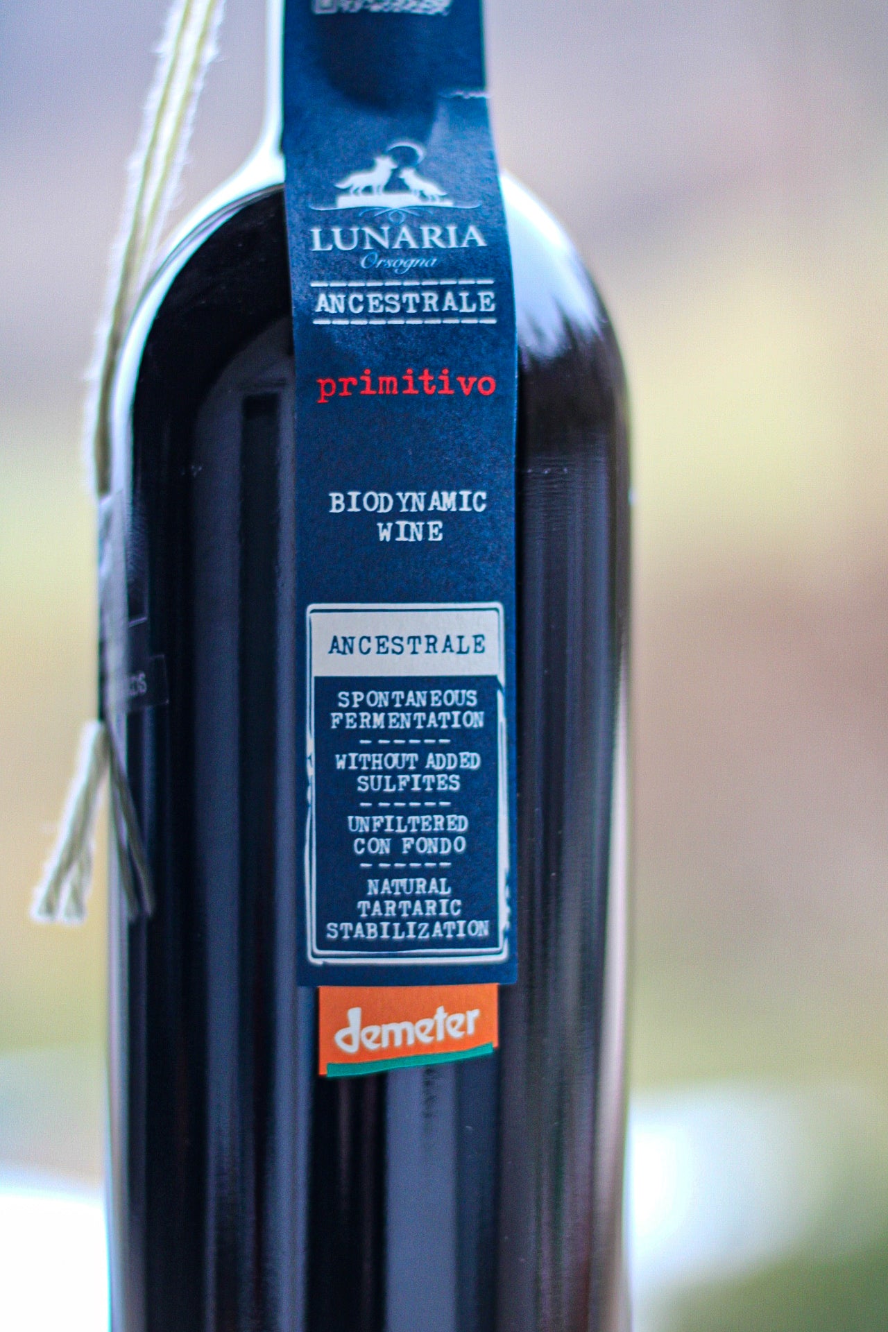 Ancestrale Primitivo