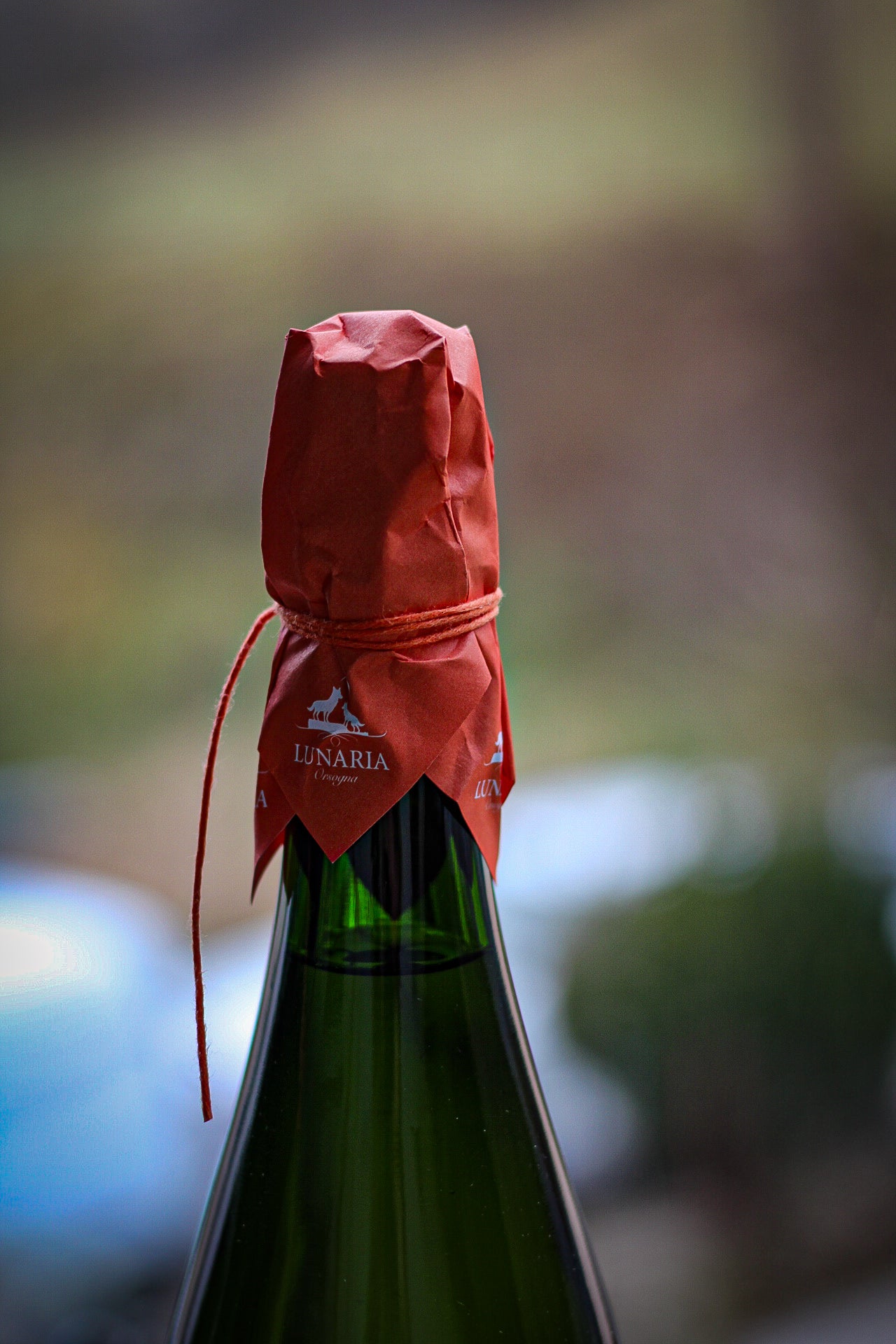 Civitas Pecorino Brut