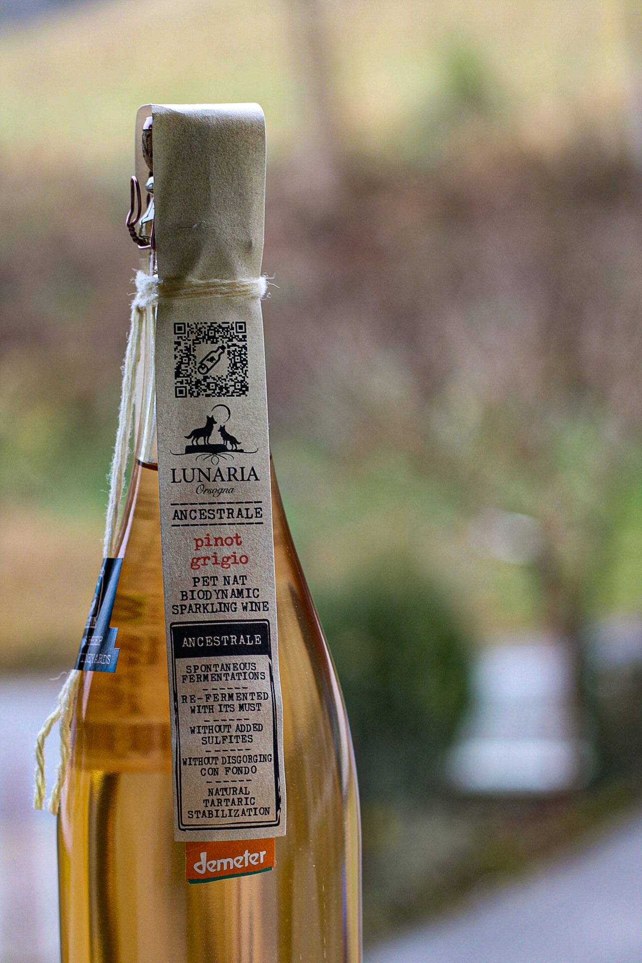 Ancestrale Pinot Grigio Spumante Lunaria