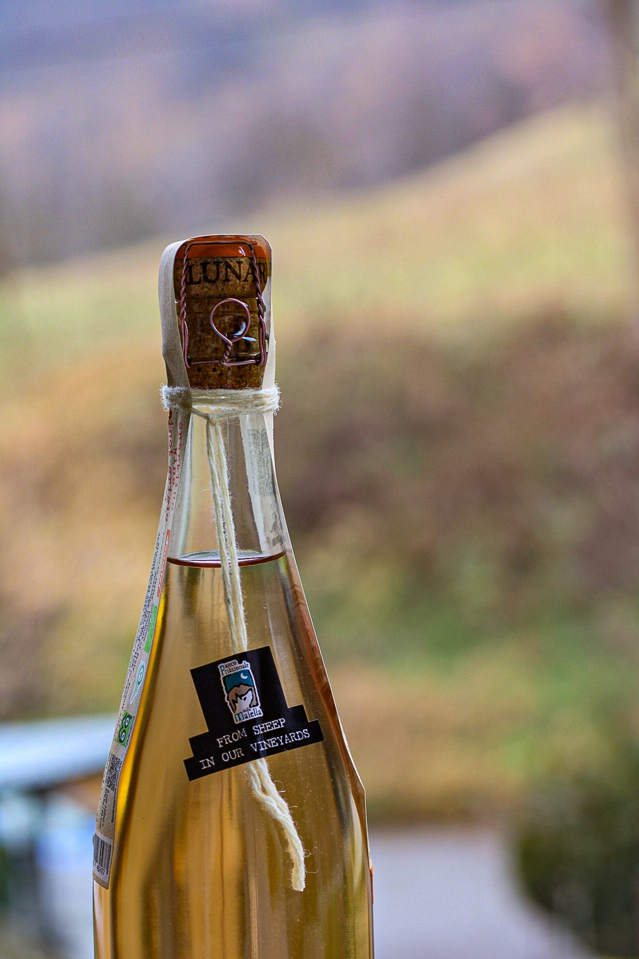 Ancestrale Pinot Grigio Spumante Lunaria