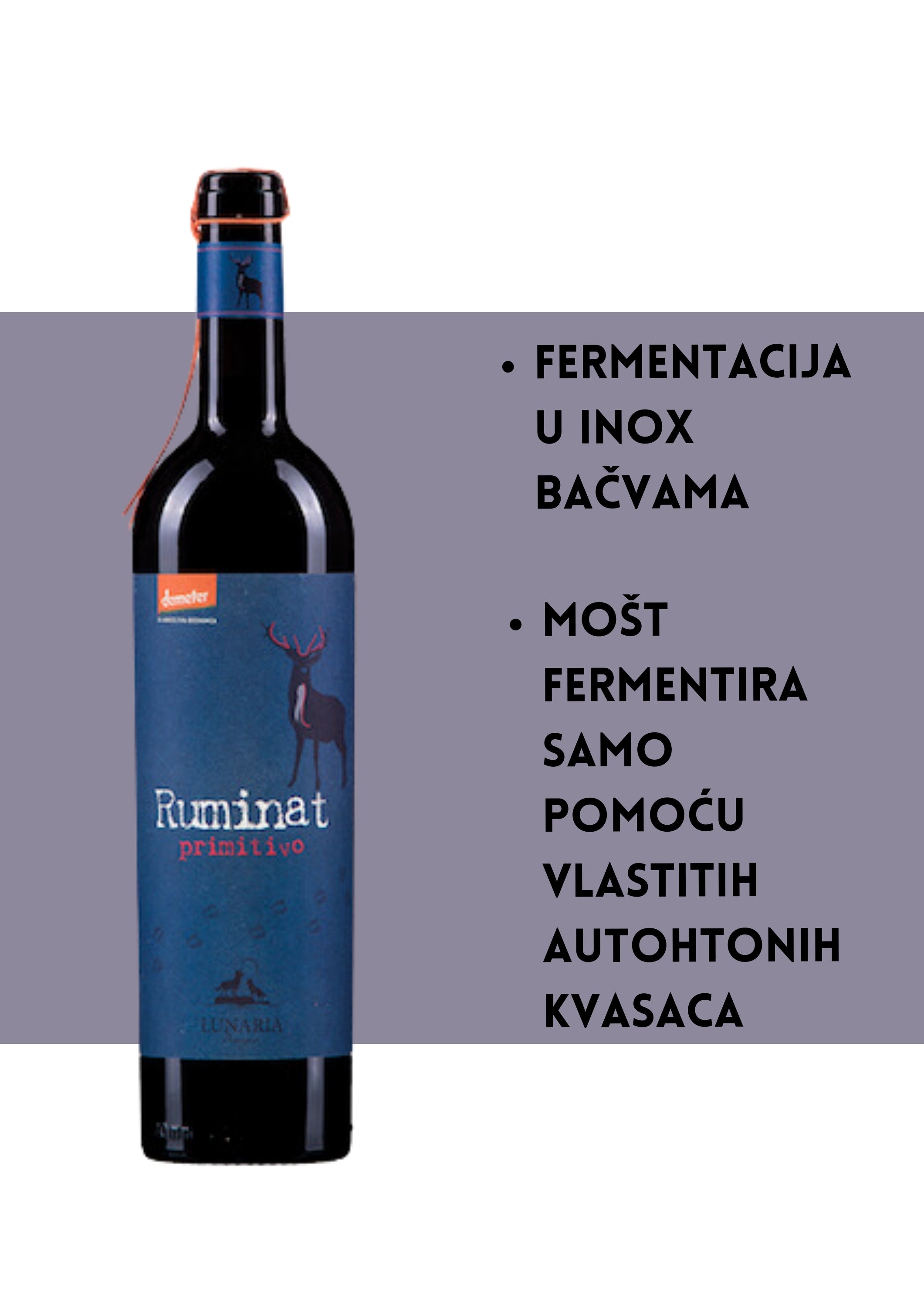 Ruminat Primitivo