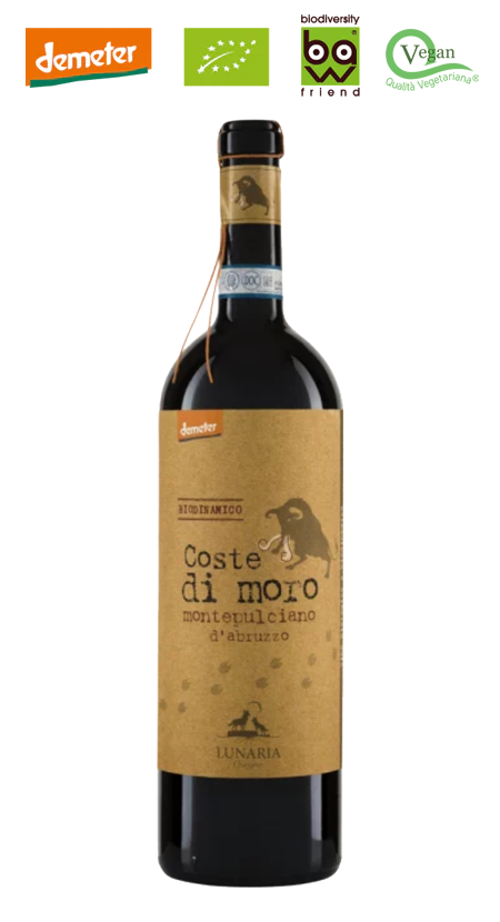 Coste Di Moro Montepulciano d'Abruzzo