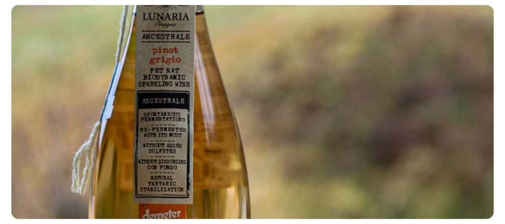 Pet Nat Pinot Grigio biodinamicki pjenusac