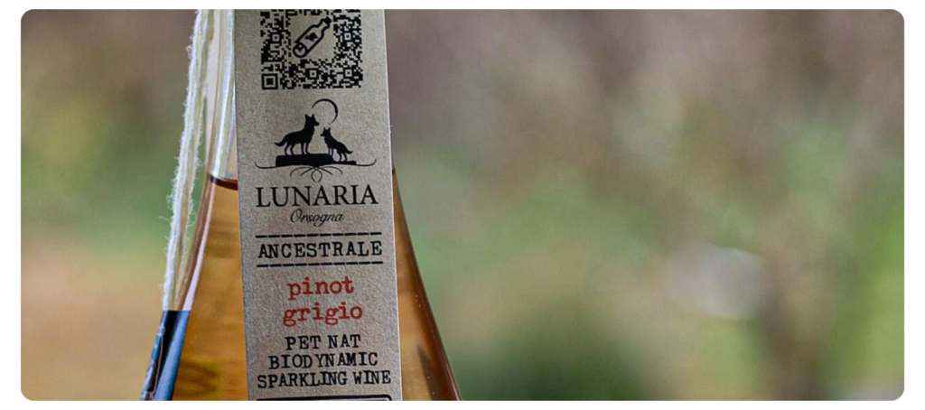 Pet Nat Pinot Grigio biodinamicki pjenusac Demeter