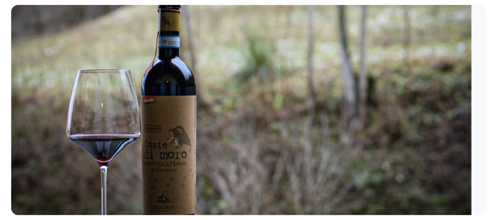 Montepulciano d' Abruzzo Lunaria