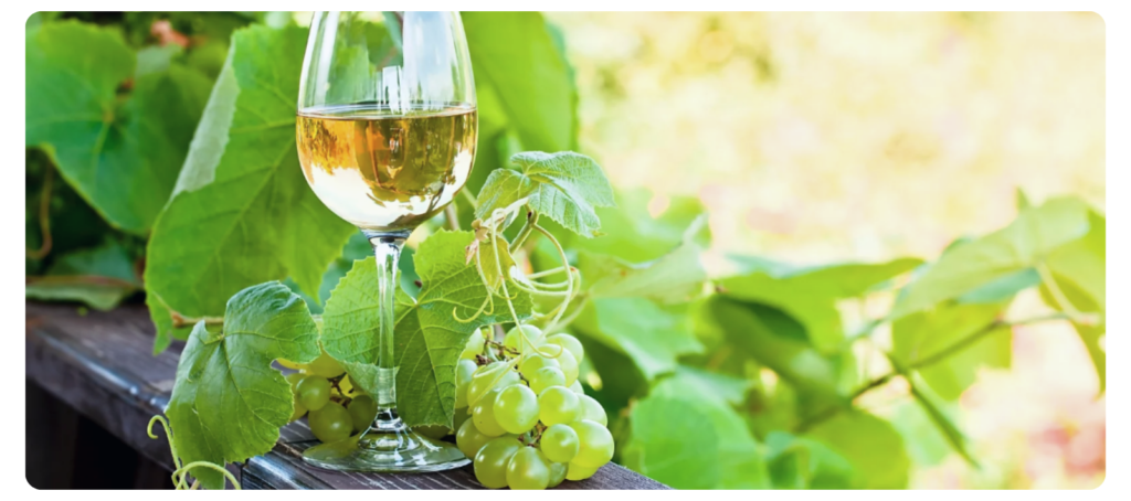 Vino u vinogradu