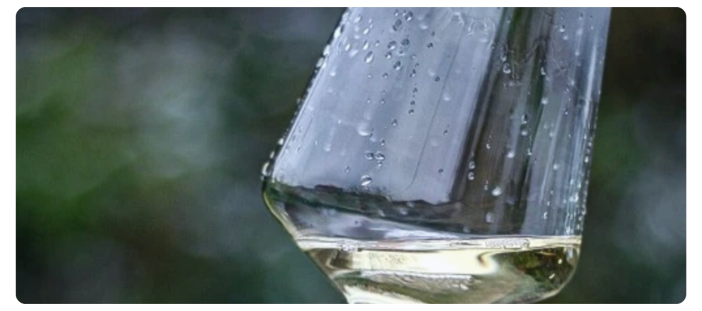 Riesling BioVitis