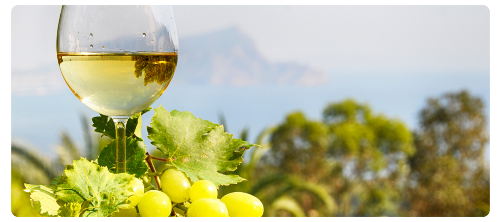 Bistro vino - bijelo