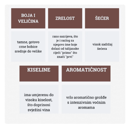 Primitivo_osnovne informacije o grožđu