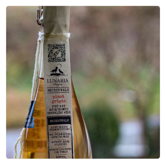 Pet Nat Pinot Grigio