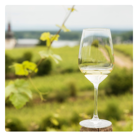 Riesling vino