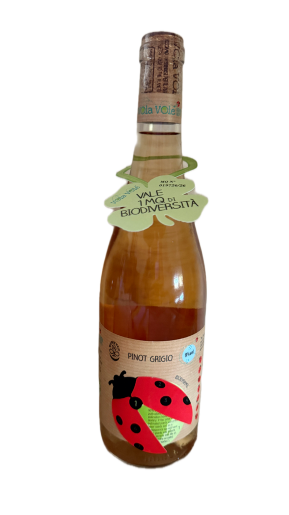 Vola Volé Seven Dots Pinot Grigio 9%